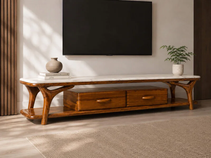 Kệ tivi ARBOR được chụp từ góc hơi chéo, làm nổi bật thiết kế khung gỗ mun tự nhiên với những đường cong uyển chuyển, tạo…